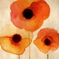 thumbnail image 2 of Berg, Margaret 20x20 Gold Ornate Wood Framed with Double Matting Museum Art Print Titled - Orange Poppies I, 2 of 4