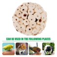thumbnail image 3 of 6Pcs Bird Chewing Toy Natural Parrot Foraging Toys Chewing Accessories for Budgie Parakeet, 3 of 4
