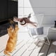 thumbnail image 5 of Interactive Cat Toy Bird Fluttering, Flying Bird Cat Toy, Cat Toy Interactive Flapping Bird Cat Toy, Flying Bird for Cats, Bird Toy Cat for Exercises, 5 of 5