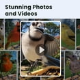 thumbnail image 3 of Comedero Inteligente para Pájaros Birdfy con Cámara Capacidad 1.3L 1080p HD, 3 of 9
