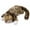 Brown, variant on Chmadoxn Christmas Toy Gifts Cat Stuffed Animals Toys,Cat Plush Toys,Soft Plush Electric Rolling Cats ,Lifelike Sleeping Simulation Cat,Suitable for Home Decoration, Photography Props, Teaching Mold