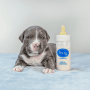 PetAg Milk Replacer Plus for Neonate Newborn Dogs and Puppies, 10.5 oz