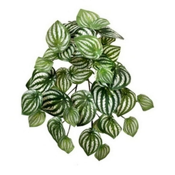 13" Watermelon Peperomia Bush Faux Plants And Trees