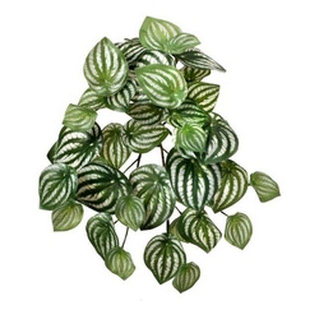 13" Watermelon Peperomia Bush Faux Plants And Trees