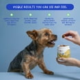 thumbnail image 3 of Same and Silybin for Dogs - S-Adenosyl-L-Methionine - 90 Soft Chews - Same for Dogs, Liver Supplements for Dogs, Brain Supplement for Dogs, Dog Liver Support Supplement, 3 of 8