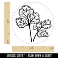thumbnail image 2 of Cilantro Herb Plant Self-Inking Rubber Stamp Ink Stamper - Fuchsia Ink - Medium 1 Inch, 2 of 7