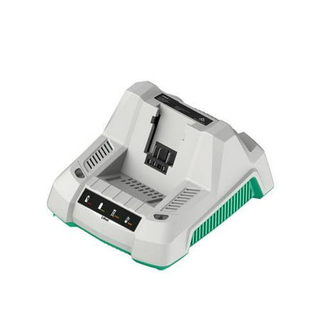 

Litheli 40V 4.2A Single-Port Charger for 40V Lithium-Ion Battery