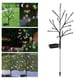 thumbnail image 5 of Luz solar decorativa LED nocturna para jardín, exterior, prado, paisajes, 5 of 9