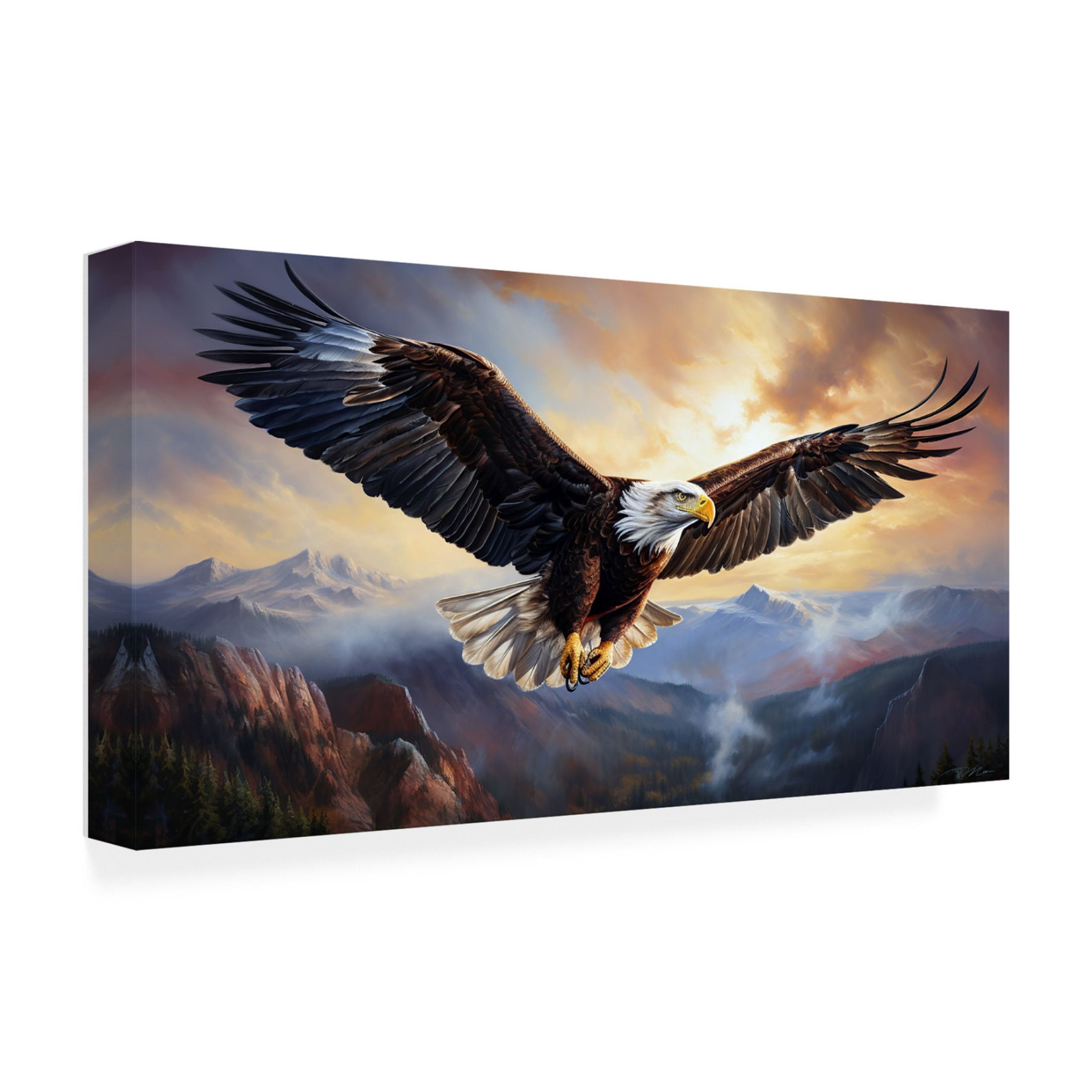 Canvas Wall Art - Momart 'Eagle Flying (1)' Wall Art for Living Room, Bedroom, or Office Décor by Trademark Fine Art - 19 x 10 Inches