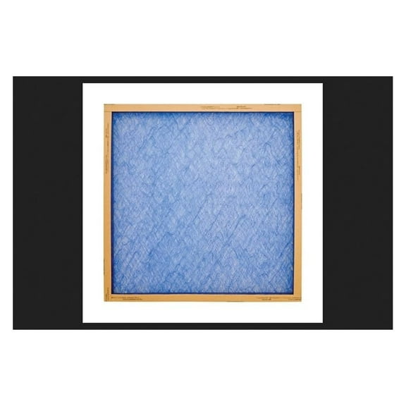Filter Fbrgls 16x25x1 - Air Treatment Unit Replacement Filter - HVAC System Filter - Whole House Filter - 16x25x1 Inch