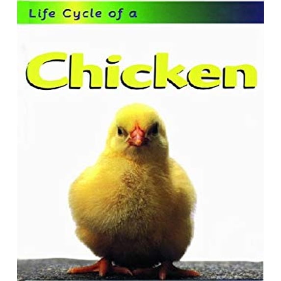 Pre-Owned Chicken (Paperback) 9781575724744