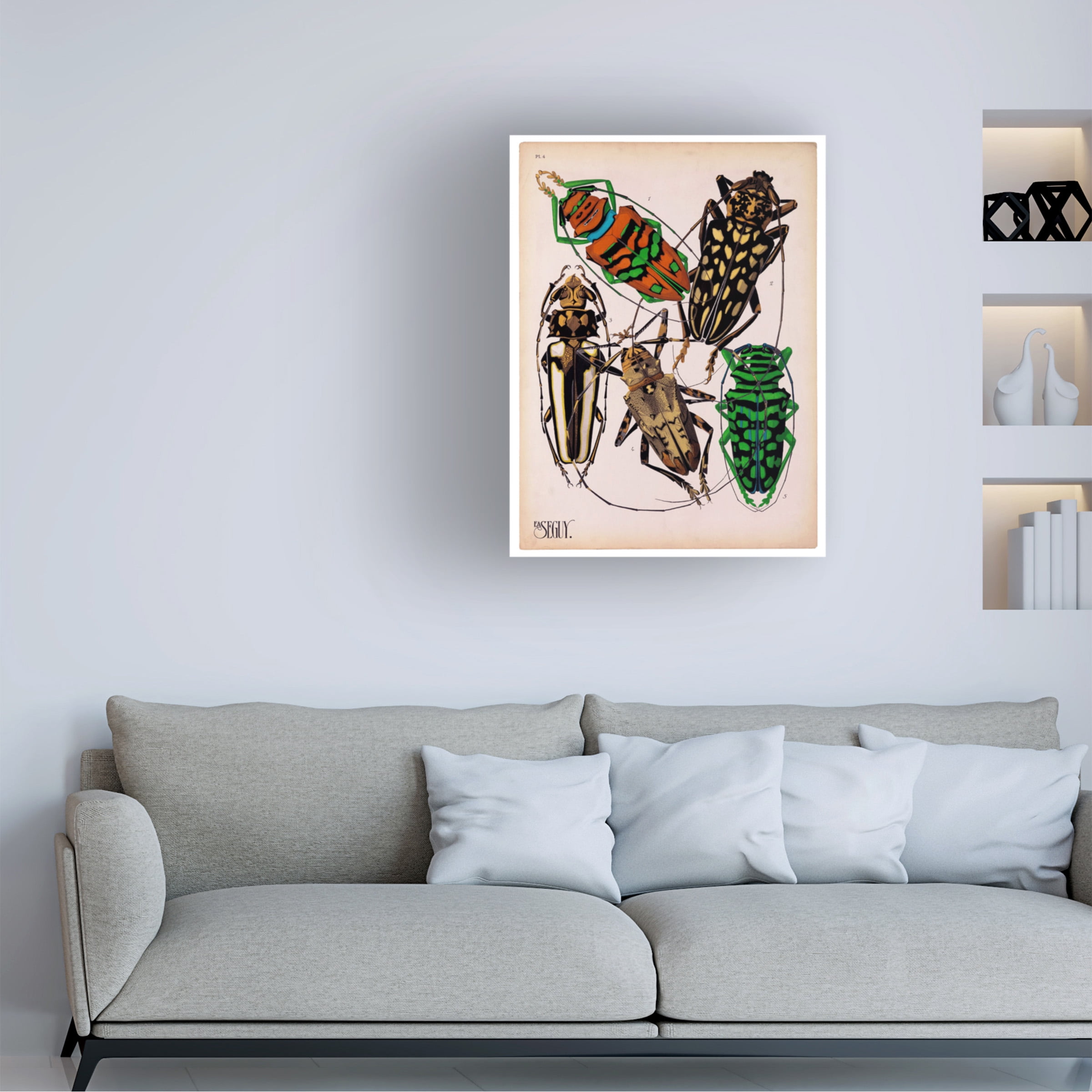 Print Collection 'Insects Plate 14' Canvas Art
