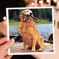 thumbnail image 7 of 3drose, Golden Retriever, 12 Greeting Cards with Envelopes, 7 of 7