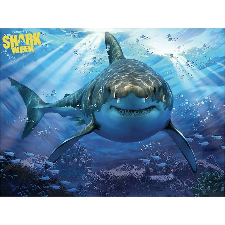 セール中　SHARK 豪華版　初回限定生産　5枚組　レア セール中 SHARK 豪華版 初回限定生産 5枚組 レア セール中 SHARK 豪華