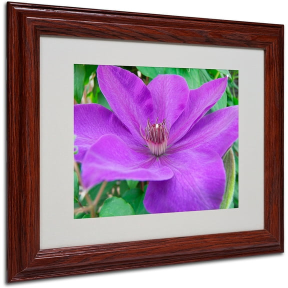 Trademark Fine Art "Purple Flower" by Monica Fleet, Wood Frame