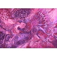 thumbnail image 1 of Ahgly Company Indoor Rectangle Oriental Pink Industrial Area Rugs, 7' x 9', 1 of 4