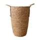 thumbnail image 1 of Canasta de plantería tejida de paja Cubierta de maceta de flores Casilla de planta de planta de planta de planta para la sala de estar Decoración del S, 1 of 8