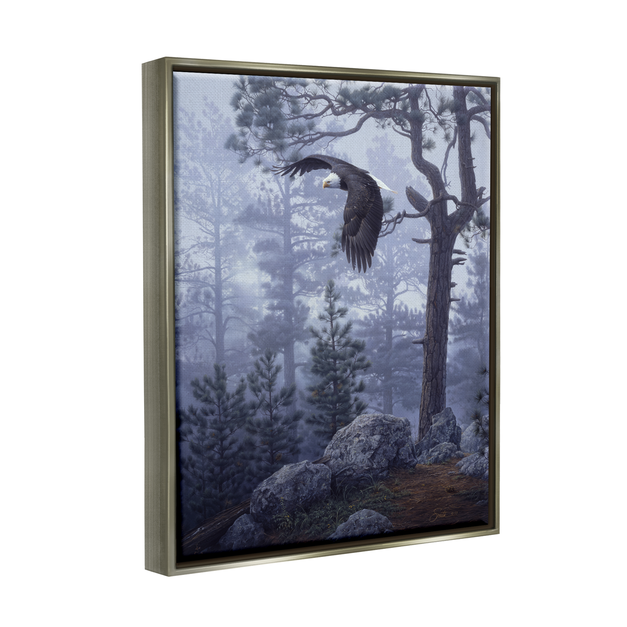 Stupell Industries Eagle Flying Woodland Scene Animals & Insects Photography Gray Floater Framed Art Print Wall Art