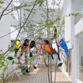 thumbnail image 5 of Multi-colored birds on single line high dyed acrylic sun catcher window panel, bird series decorations, 5 of 5