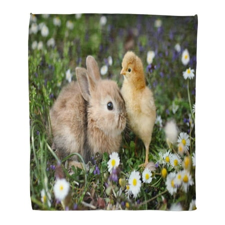 ASHLEIGH Throw Blanket Warm Cozy Print Flannel Beige Easter Bunny Rabbit and Chick are Best Friends Brown Chicken Comfortable Soft for Bed Sofa and Couch 58x80