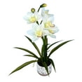 thumbnail image 2 of Vickerman FN180701 Pétales de Cymbidium Blanc en Pot Toucher Réel 19 Po., 2 of 2