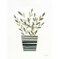 thumbnail image 3 of Prahl, Courtney 19x24 Black Modern Framed Museum Art Print Titled - Herb Garden I, 3 of 5