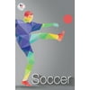 USA Olympic Team Rio 2016 Soccer Sports Poster 12x18 inch