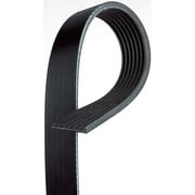 ACDelco Professional 7K855 Standard V-Ribbed Serpentine Belt
