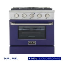 30 in. 4.2 cu. ft. Dual Fuel Range Propane Gas Sealed Burners in Blue.