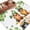 Green Gold, variant on Entryway Rug 2'x3', St. Patrick's Day Small Rug for Kitchen Bathroom Door Mat Indoor Entrance, Green Gnomes Lucky Shamrocks Grey Farm Wooden Non-Slip Area Rugs Floor Mats Carpet Front Door Rugs