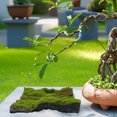 thumbnail image 2 of 2 alfombras de musgo artificial realistas de césped sintético para decoración interior y exterior, para jardín, balcón, patio, alfombra de musgo de simulación., 2 of 7