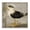 Vintage Nautical Seagull Compass, variant on Stupell Industries Little Maritime Seagull Black Framed Floater Canvas Wall Art, design by Suzanne Nicoll