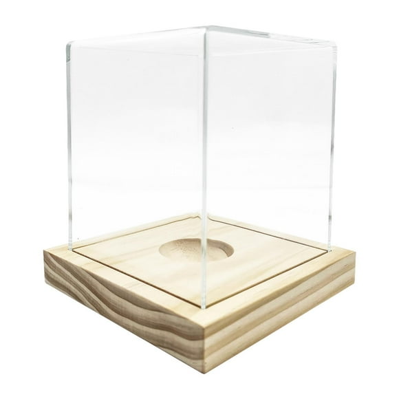 Vitrina de béisbol, vitrina de recuerdos, acrílico, resistente al polvo, base de madera, transparente, caja de almacenamiento para guardar artículos d