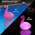 thumbnail image 2 of 2 Pcs Lampes Solaires Flamants Roses, Flottant, Imperméable à l'Eau Lumières Solaires Flamants Roses Gonflables pour la Piscine, 2 of 5
