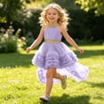thumbnail image 7 of Flower Girls Dress High Low Wedding Dresses Gown with Bow Back Birthday Party Swing A-Line Dresses,9-12Months, 7 of 7