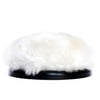 RC Innovations ESBF1P Buffer Pad