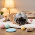 thumbnail image 6 of 7.5x5.9in Pet Cute Wig, Short Hair Dog Costume Accessory, Funny Dress-Up Hairpiece for Puppy Photo Prop Party Cosplay, 6 of 6