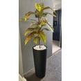 thumbnail image 3 of Jarron Maceta minimalista conica alta resistente para planta natural o artificial Green Boutique, 3 of 6