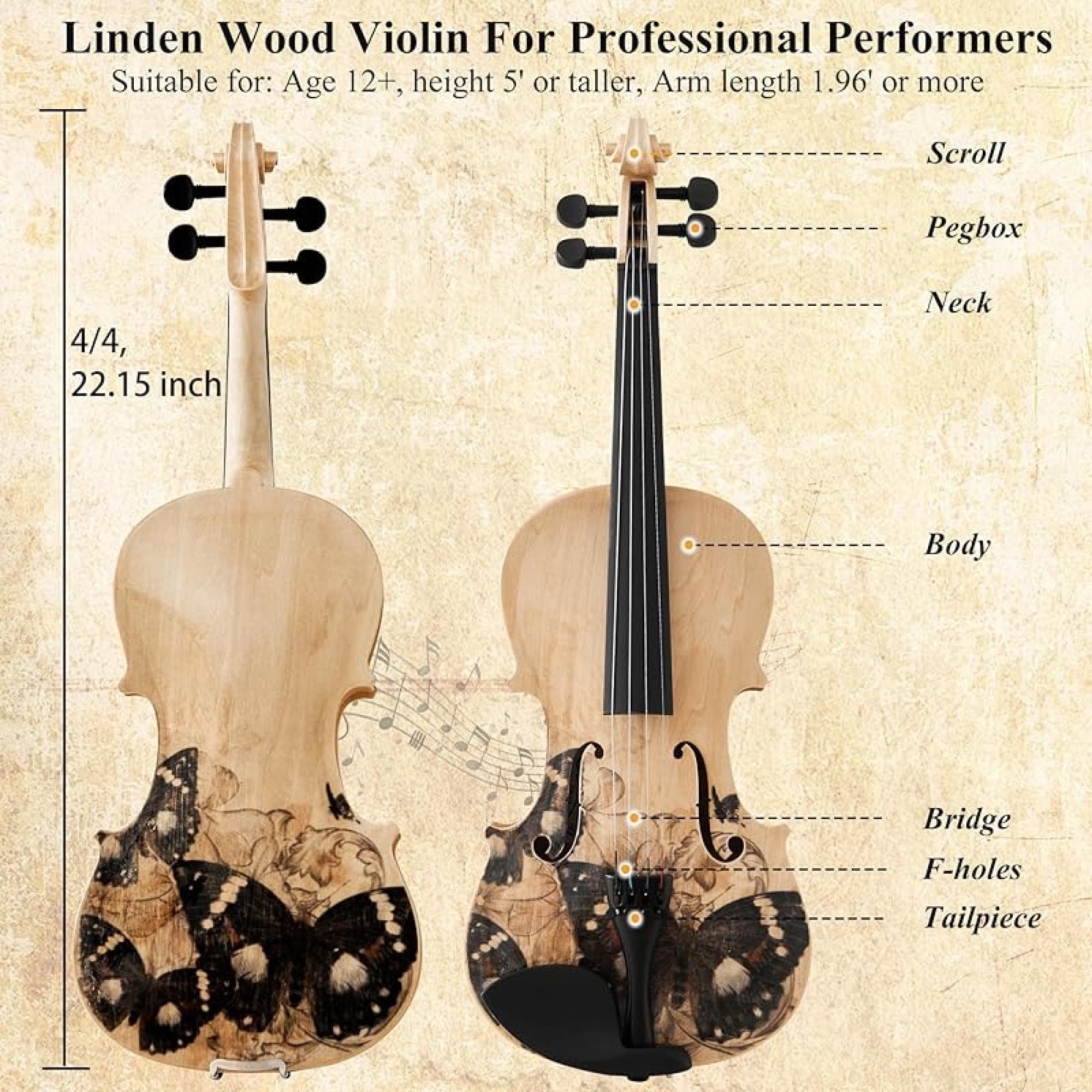 Beginner Violin 4/4 Full Size Kit, Violin Fiddle Set for Professional, Teens, Student, Solid Wood Violins Set with Bow, Rosin, Shoulder Rest, Extra Strings and a Lightweight Hard Case (Black)