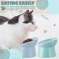 thumbnail image 4 of Plastic Raised Cat Bowl Tilted Elevated Cat Food and Water Bowls Set Anti Vomit Dog Kitten Food Dishes Pet Feeder for Cats and Small Dogs (Blue), 4 of 6