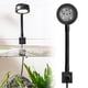 thumbnail image 3 of Luz Pequeña para Pecera con USB Remoto, Plantas Acuáticas, para Acuario, Color Negro+Luz Pequeña para Pecera con USB Sunnimix Mini lámpara de luz de acuario, 3 of 8