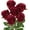 Burgundy, variant on Artificial Flowers– 6PCS 18.9" Faux Rose Silk Flowers with Long Stems Realistic Fake Rose Bouquet for DIY Wedding Arrangements Table Vase Centerpieces Home Event Decor