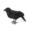 thumbnail image 2 of Cuervo realista hecho a mano Cuervo emplumado negro para decoraciones de Halloween Pájaros Wmkox8yii gf11173, 2 of 6