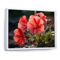 thumbnail image 2 of Designart "Coral Geraniums landscape" Floral Floater Framed Wall Decor, 2 of 7