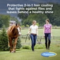 thumbnail image 2 of Aerosol para moscas de caballo Farnam Bronco Gold, 3,8 L, ayuda para el aseo, 2 of 9
