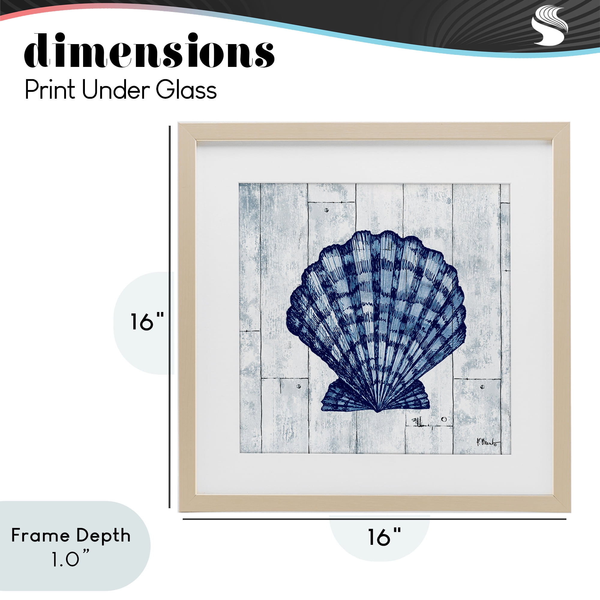 Stupell Industries Coastal Timberland Scallop Birch Framed Print Under Glass, design by Paul Brent