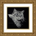 thumbnail image 1 of Harrison, Lesley 26x26 Gold Ornate Wood Framed with Double Matting Museum Art Print Titled - Kitten II, 1 of 4