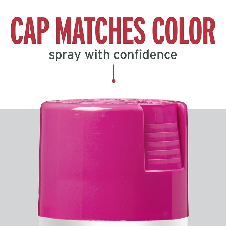 Rust-Oleum Stops Rust Gloss Enamel Spray Paint, Poppy Pink, 12 oz, 6-Pack photo 6