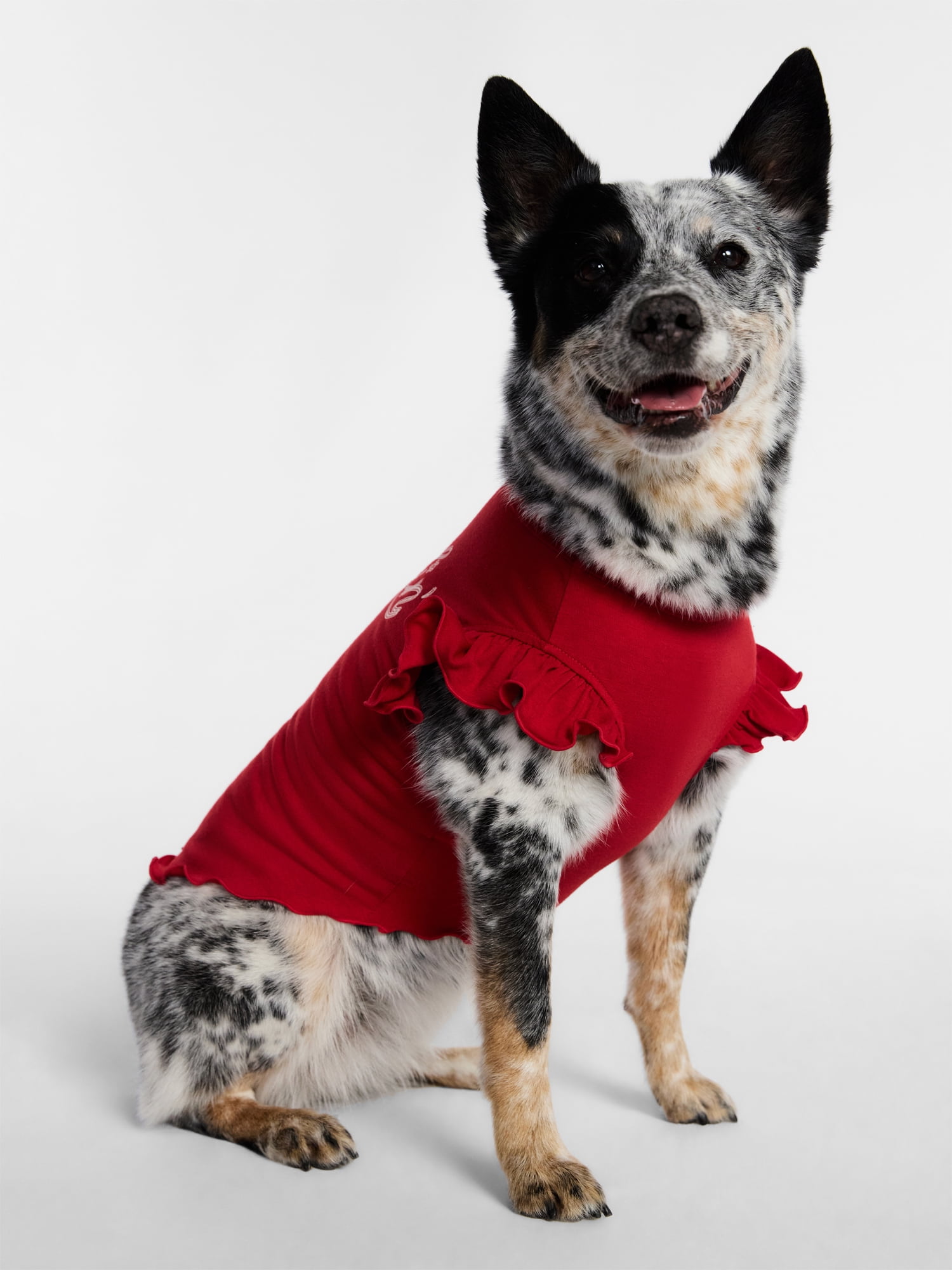 Kacey Lee Darlin' Ruffled Edge Pet Tee Shirt for Cats and Dogs, Red, Large