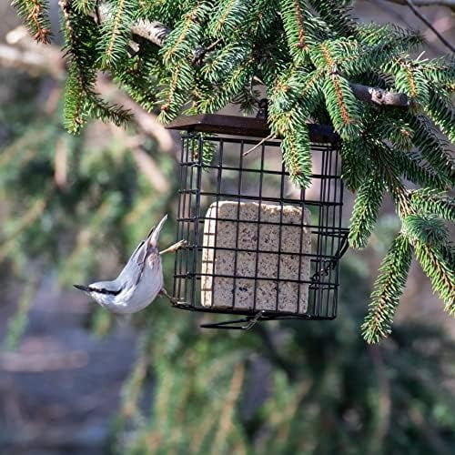 Suet Feeder Suet Bird Feeders for Outside Hanging,Squirrel Proof Suet Cakes Bird Feeder for Wild Birds,Metal Brown(Pack of 2)